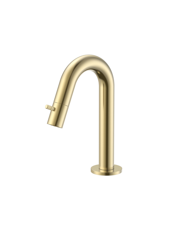 ALONI Stria koudwaterkraan – geborsteld goud (PVD)