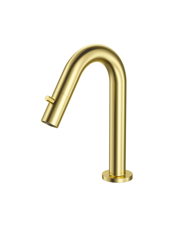 ALONI koudwaterkraan 1/2 – geborsteld goud (PVD)