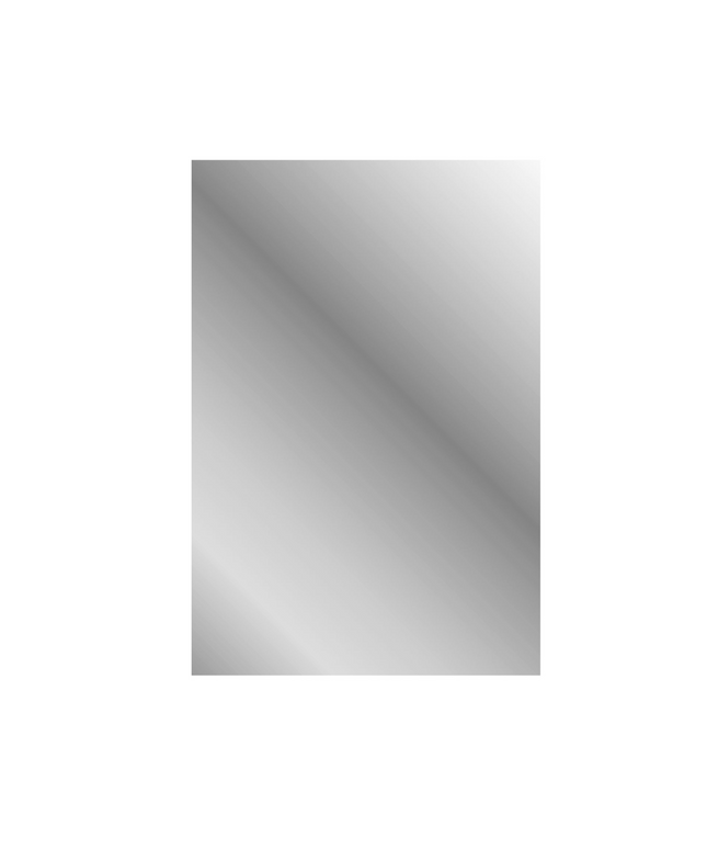 ALONI MIKARO toiletspeigel – met lijst – 40x60x1,9 cm – Licht eiken