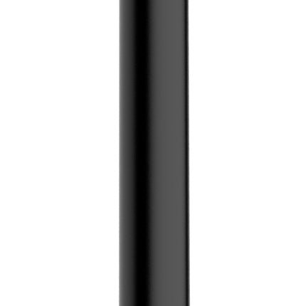 Wiesbaden UniMatch douchearm plafondbevestiging 15 cm mat zwart | Schwertz & Co