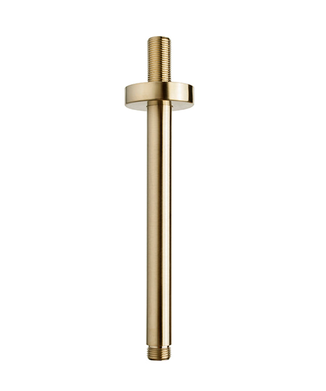 Wiesbaden UniMatch douchearm plafondbevestiging 20 cm geborsteld messing | Schwertz & Co