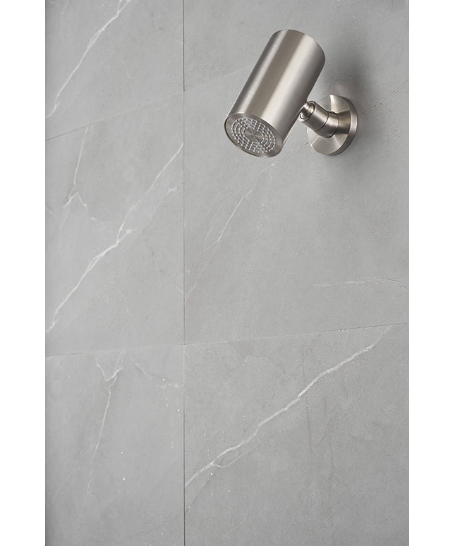Wiesbaden UniMatch Beam hoofddouche geborsteld staal - detailfoto | Schwertz & Co