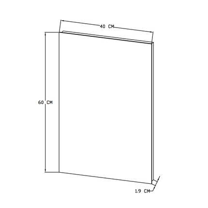 ALONI MIKARO toiletspeigel – met lijst – 40x60x1,9 cm – Licht eiken
