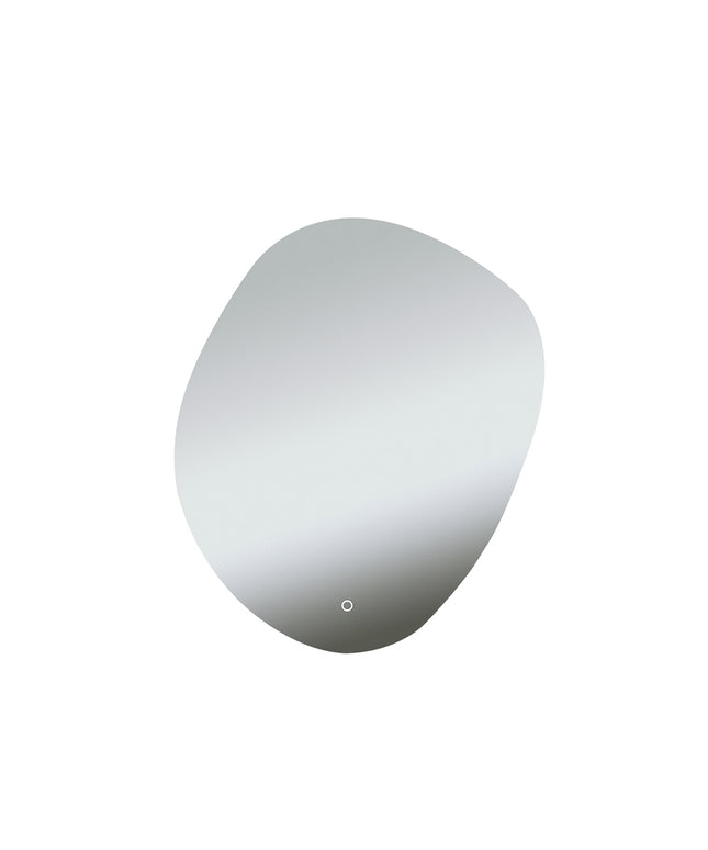Wiesbaden Ellva badkamerspiegel organisch 100 x 120 cm met LED | Schwertz & Co
