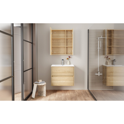 HAYAT spiegelkast – 2 asymmetrische enkelzijdige spiegeldeuren – 60x70x15 cm – Eik