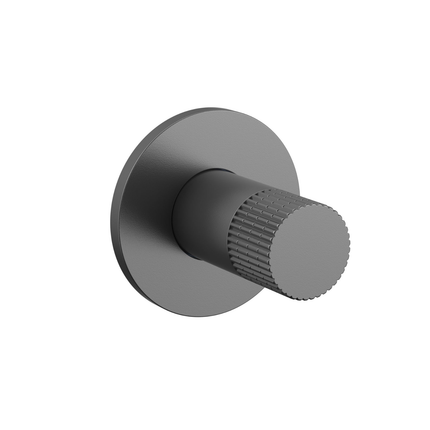 ALONI Stria bidetkraan – koud water – gunmetal (PVD)