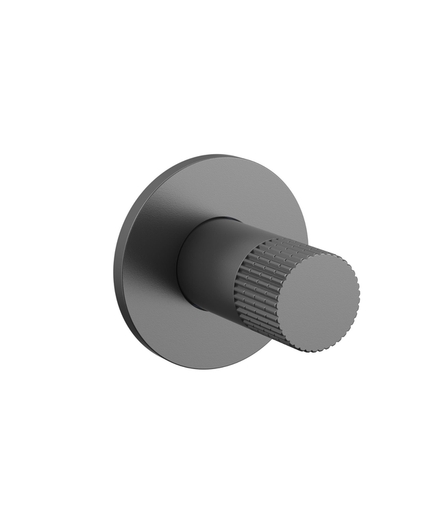 ALONI Stria bidetkraan – koud water – gunmetal (PVD)