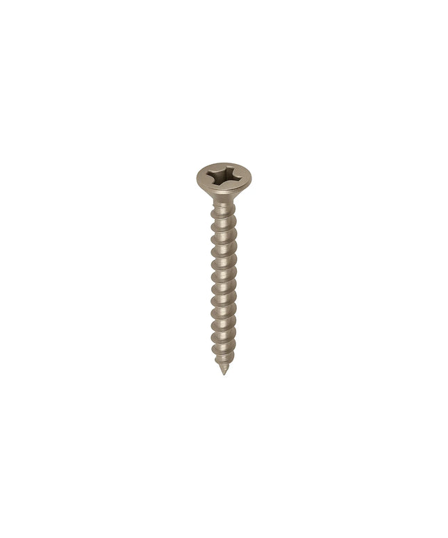 DutchLine - Schroeven T.B.V. Vlonderclips - RVS - 100 stuks
