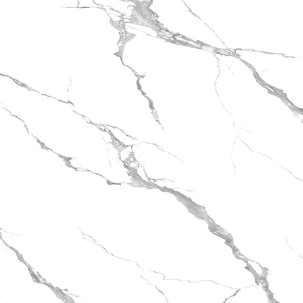 DutchLine - SPC Wandpaneel - Statuario Real Glans